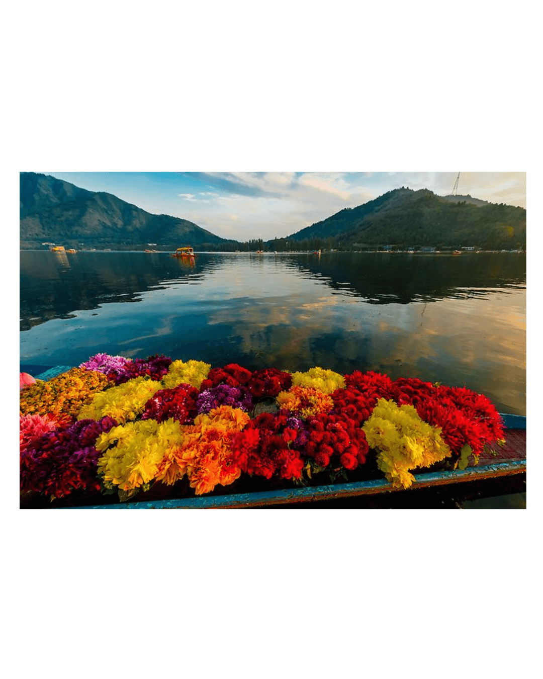 Hermès chale cachemire 140 srinagar