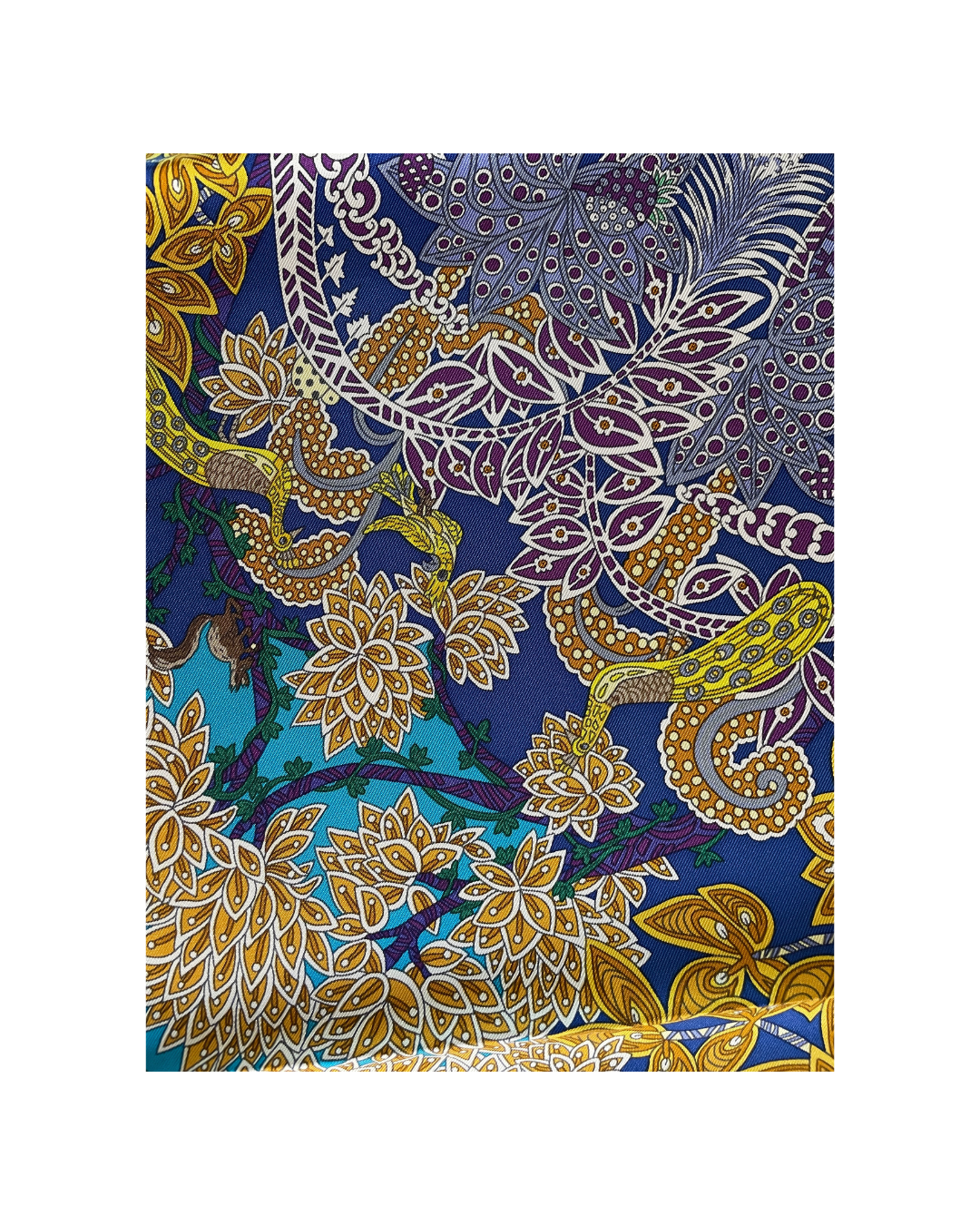 Carré Hermès Paon vintage Annie Faivre Détails