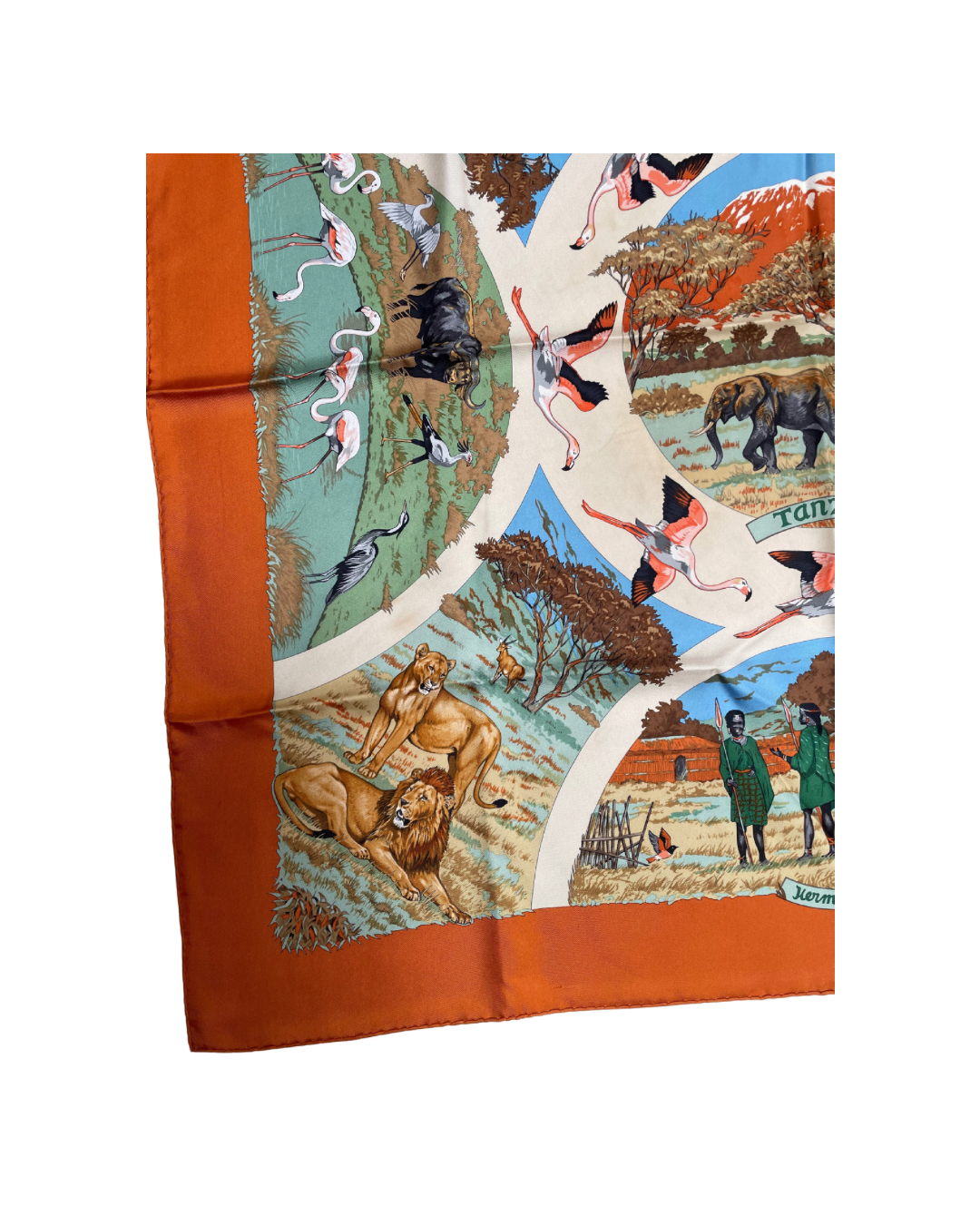 ‘Tanzanie’ Carré Hermès 90 - Paon