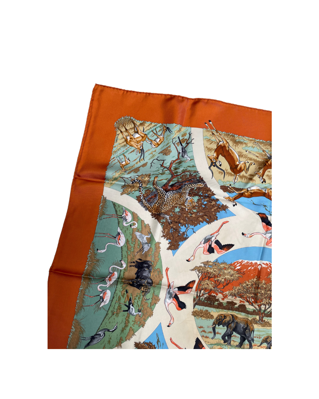 ‘Tanzanie’ Carré Hermès 90 - Paon
