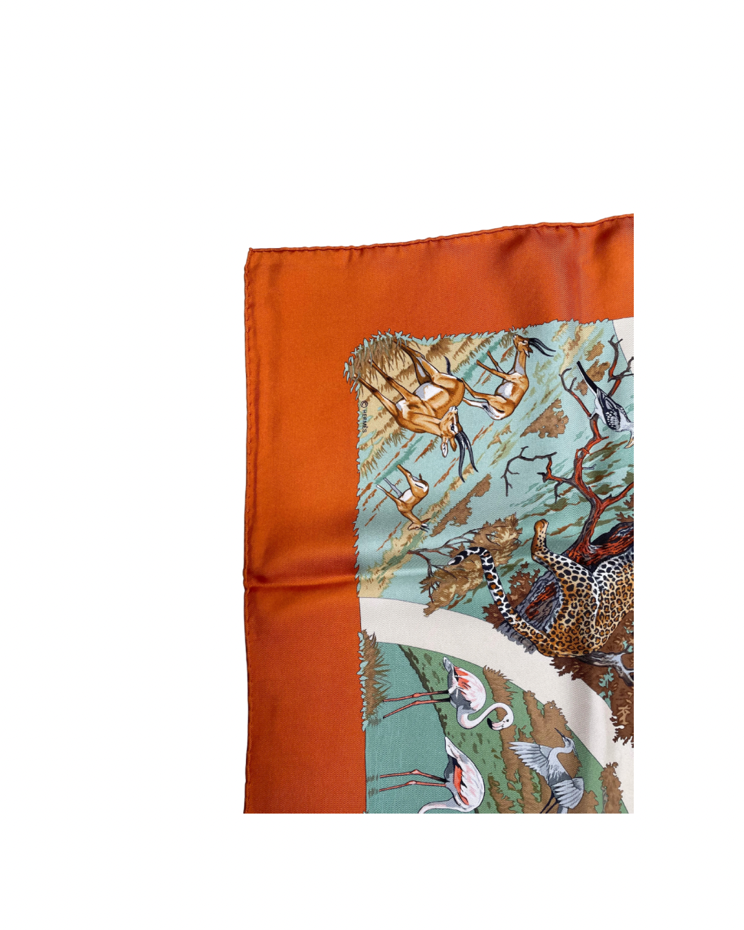 ‘Tanzanie’ Carré Hermès 90 - Paon
